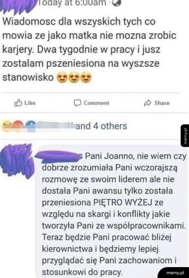 Zawrotna kariera