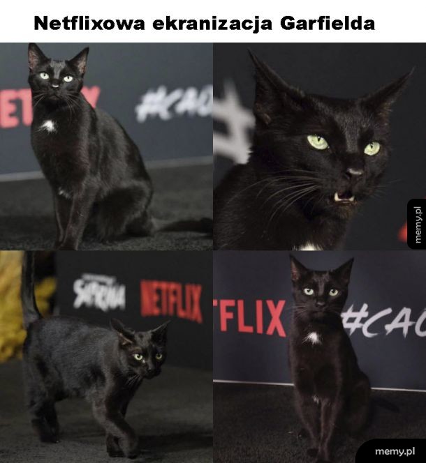 Tak będzie