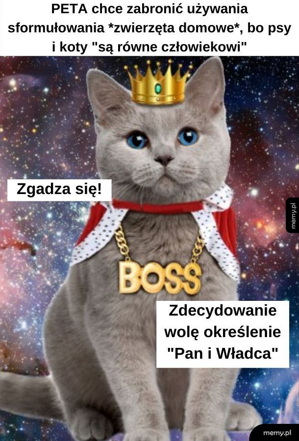 Mój kot twierdzi, że się z tym zgadza. Pies powiedział, że zwisa mu to do czasu, kiedy napełniam mu miskę.