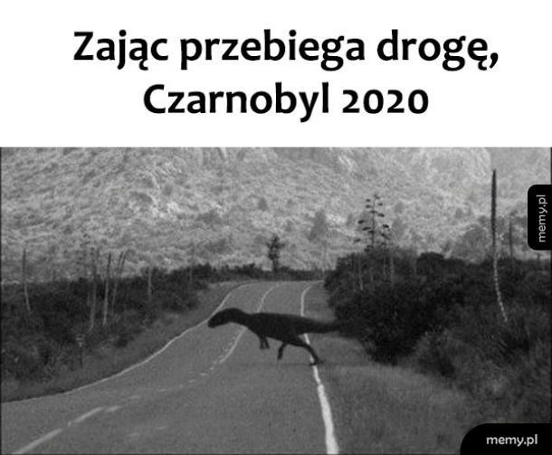 Czarnobyl