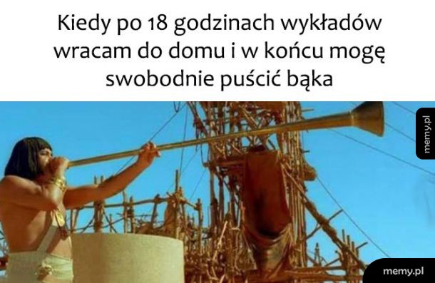 Bąk uwolniony