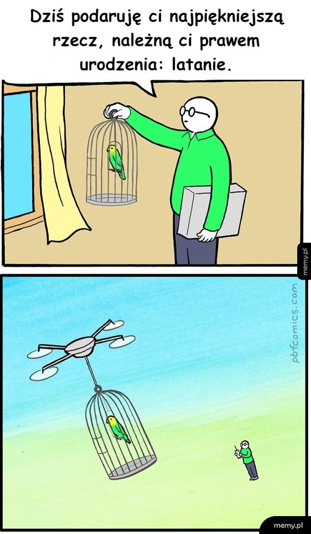 Leć niczym sokół