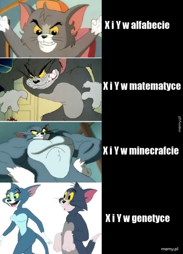Memy z Tomem najlepsze