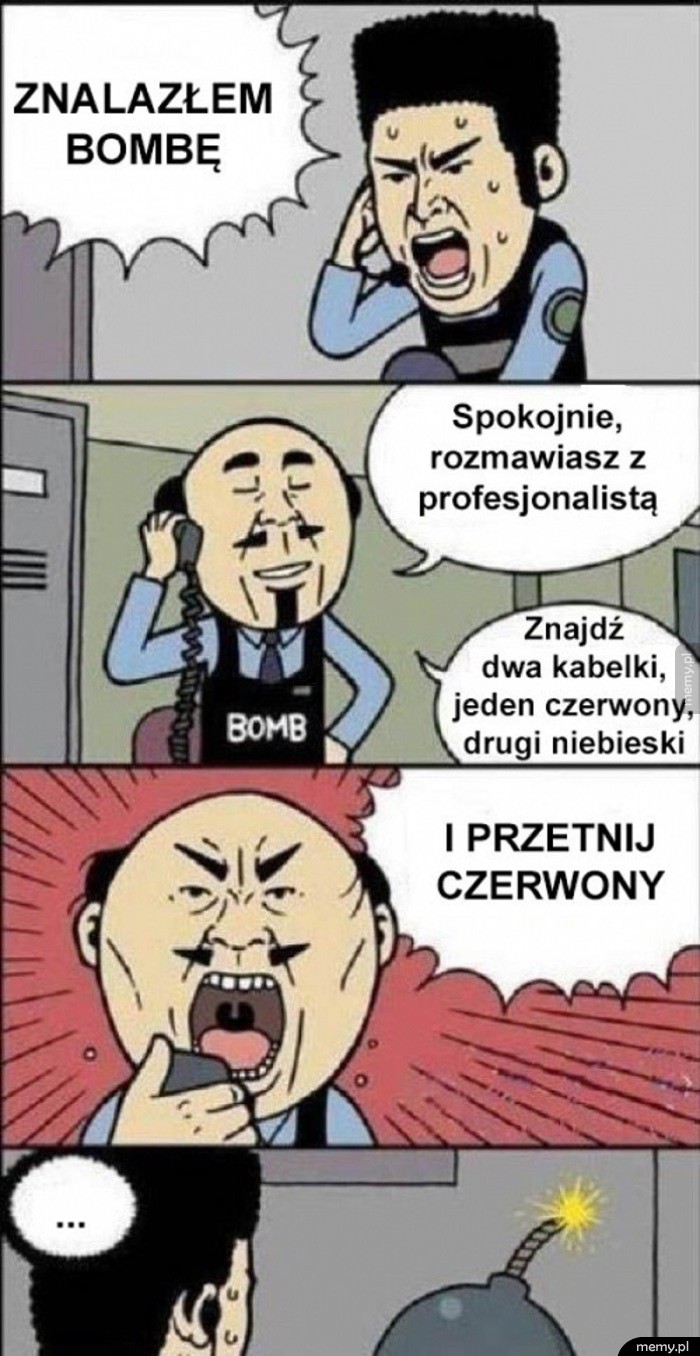 Profesjonalista