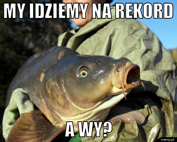 My idziemy na rekord A Wy?