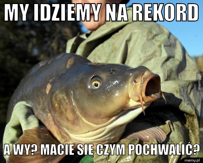 My idziemy na rekord A Wy? Macie się czym pochwalić?