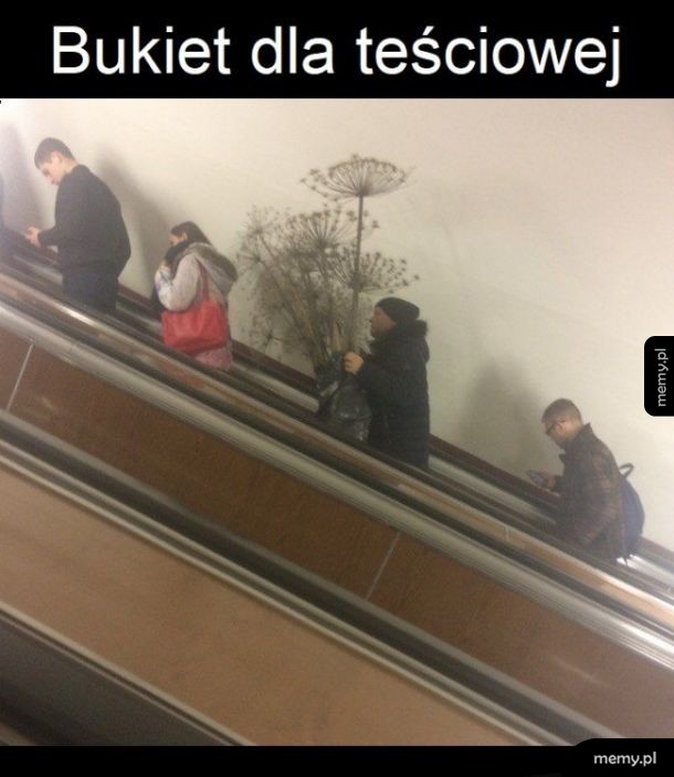 Ucieszy się