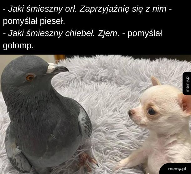 Ja tam byłem. Z nimi fajkę se zapaliłem.