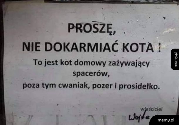 Cwaniak