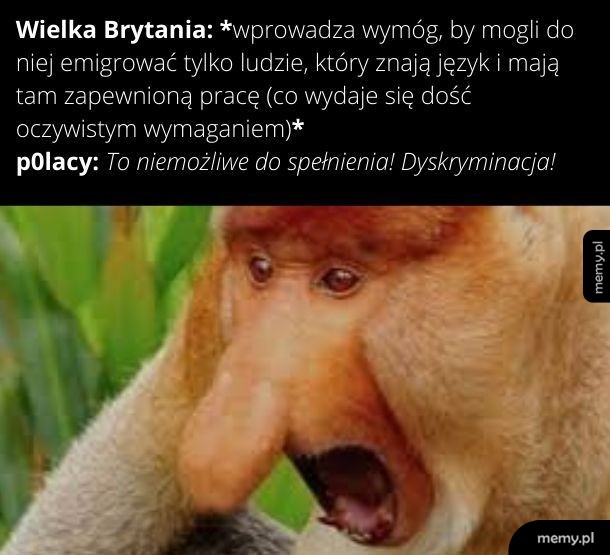 Najgorsze jest to, że w żadnej polskiej szkole nie uczą języka angielskiego