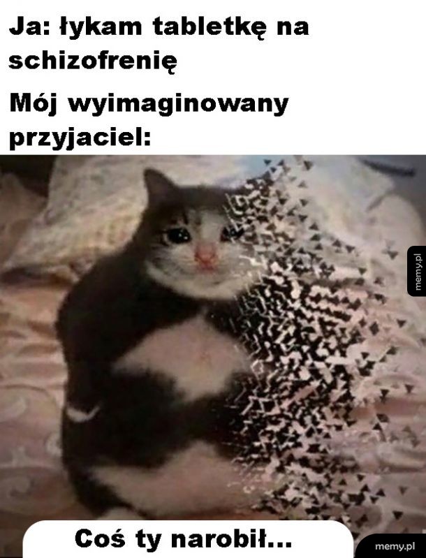 Żegnaj przyjacielu