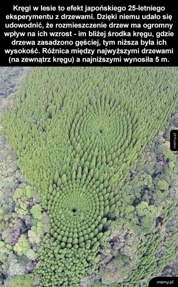 Ciekawostka