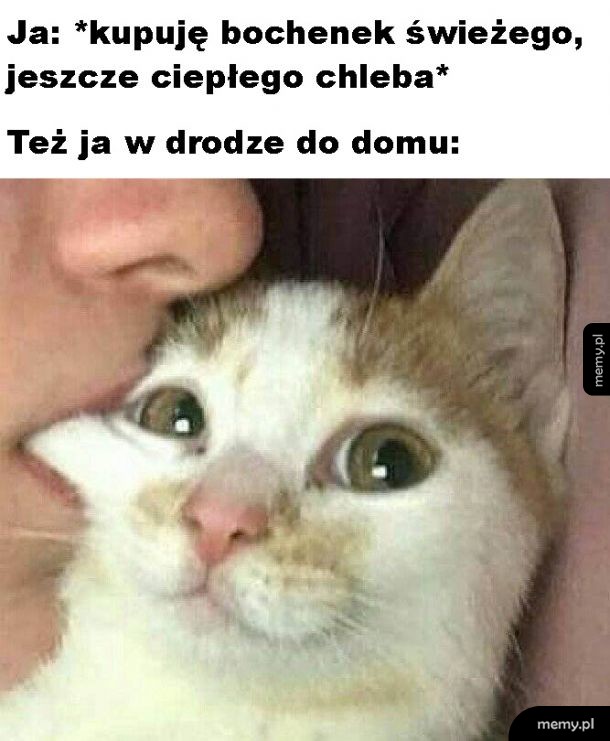 Świeży chlebek