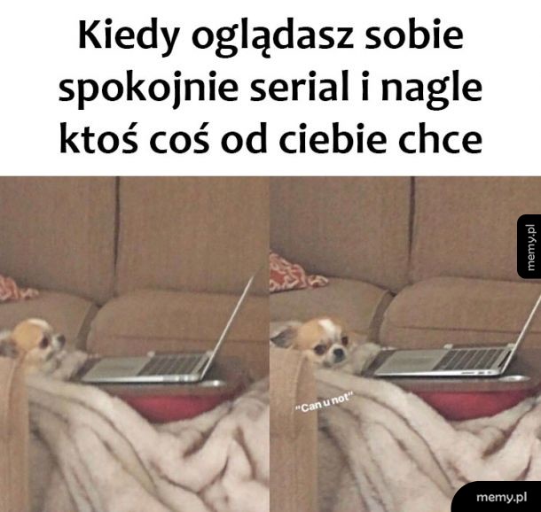 Dajcie spokój