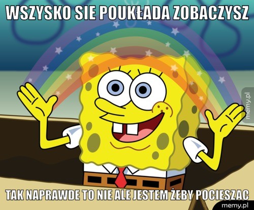 spange bob