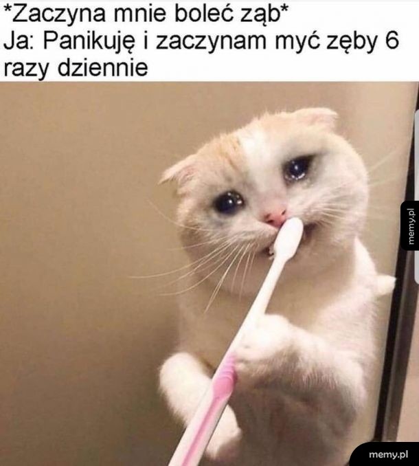 O nie o nie o nie