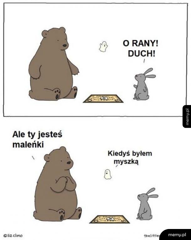 Duszek