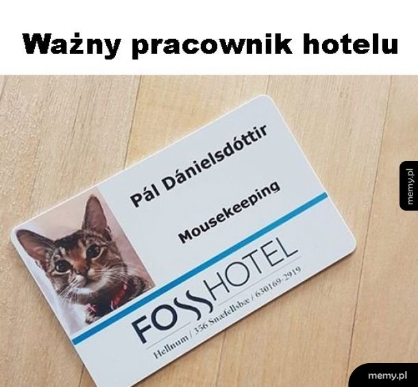 Fajny pracownik