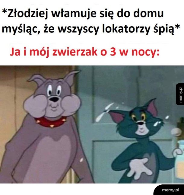 Uszanowanko