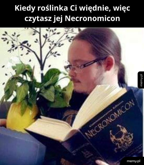 Roślinka