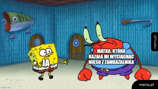 Mięso
