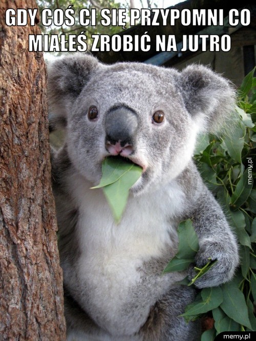 Gdy coś ci się przypomni co miałeś zrobić na jutro