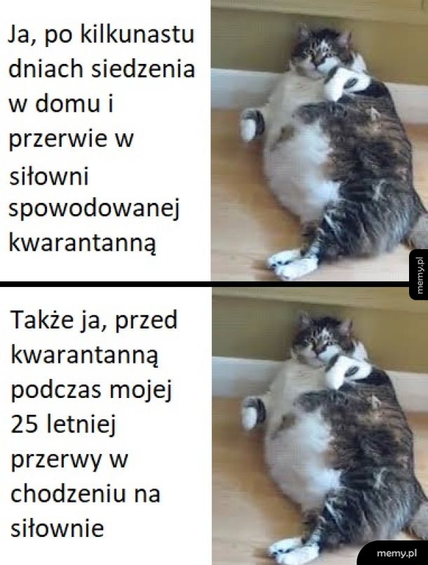Kwarantannowe sadełko