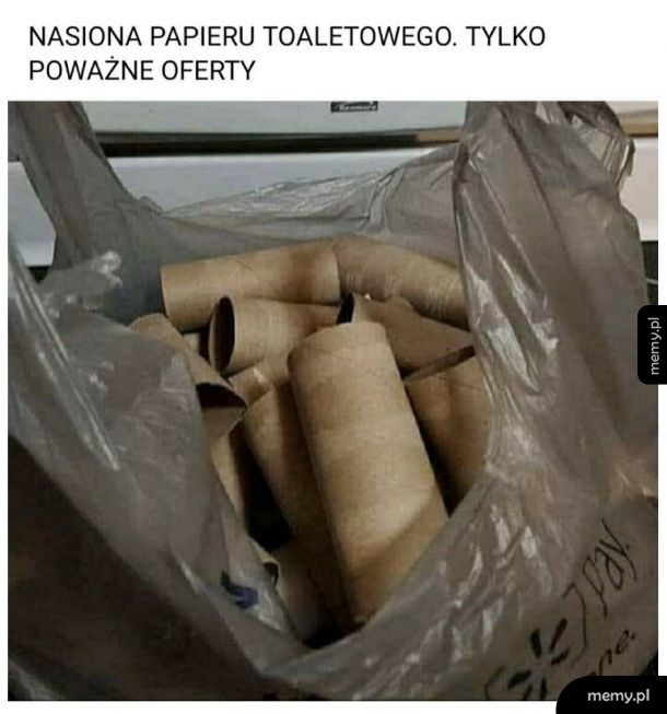 Papier toaletowy