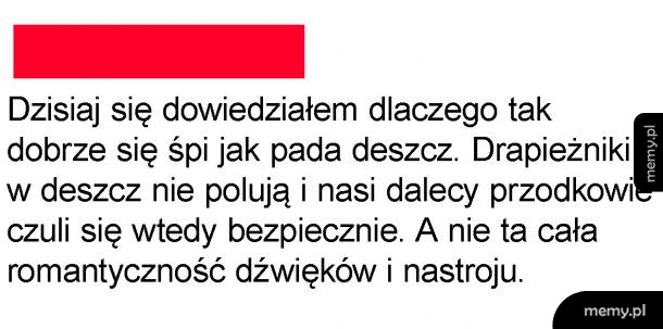 Deszcz