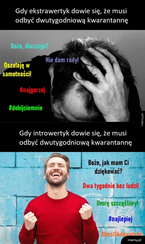 Ekstrawertyk i introwertyk