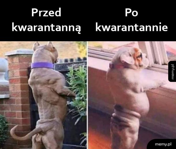 Przed i po
