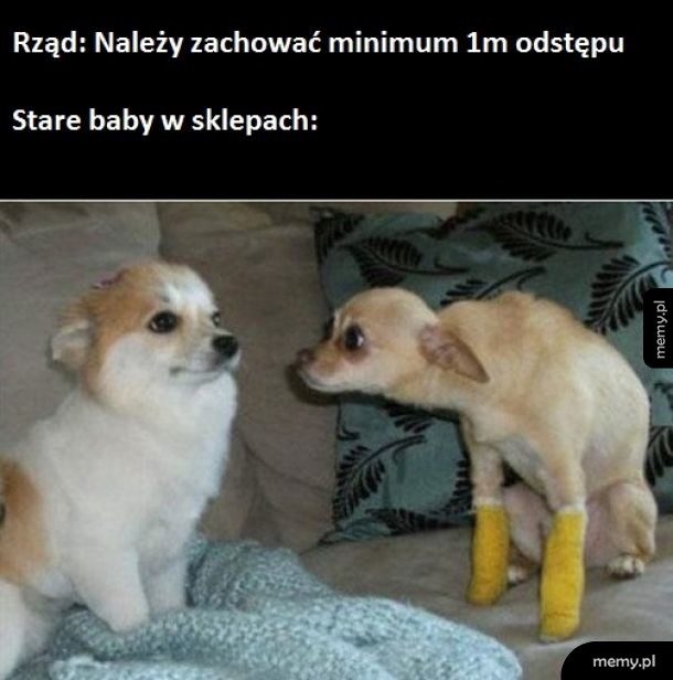Koronawirus Mocno
