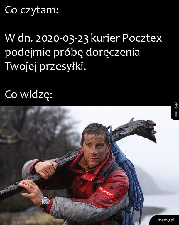 Dziękujemy