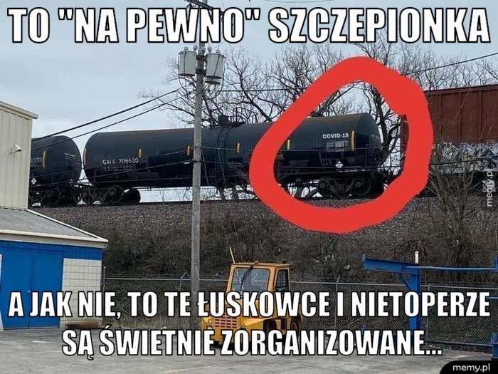 To "na pewno" szczepionka A jak nie, to te łuskowce i nietoperze są świetnie zorganizowane...
