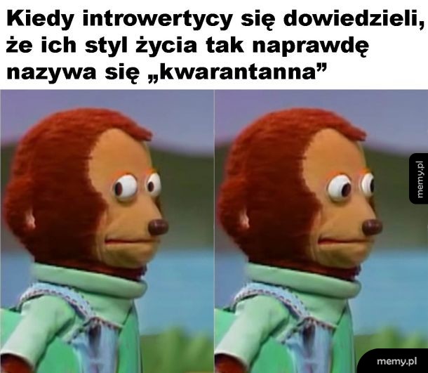 A więc taka jest nazwa