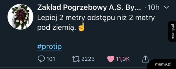 Protip na dziś