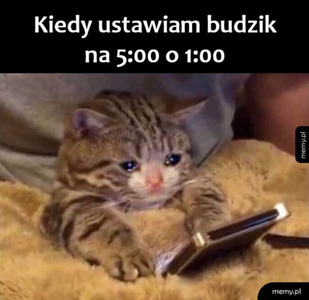 Budzik
