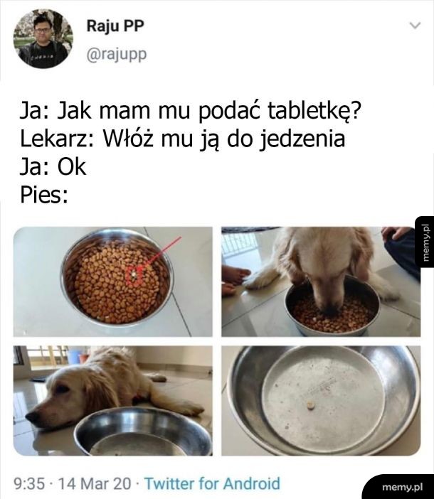 Tabletka w jedzeniu