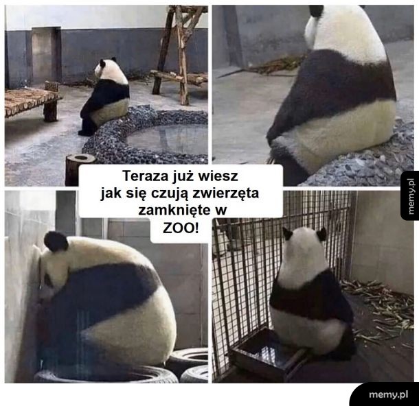 Straszne uczucie