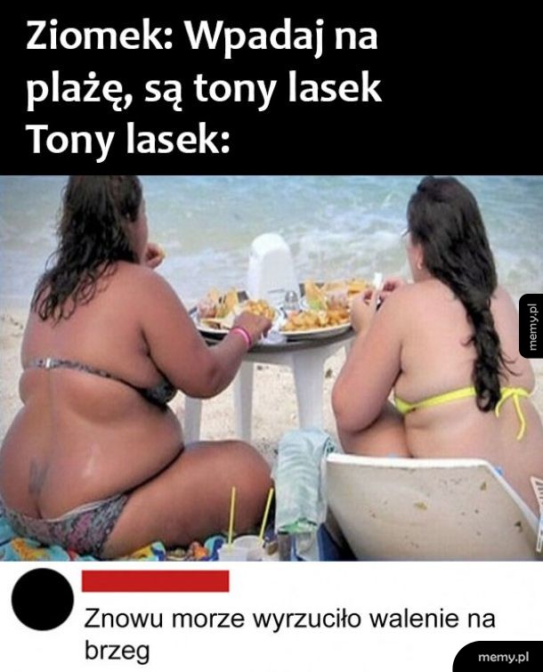 Tony lasek