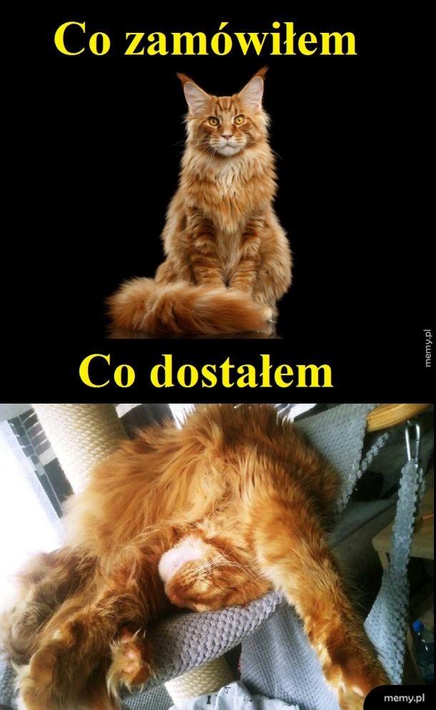 Aliexpress takie jest !