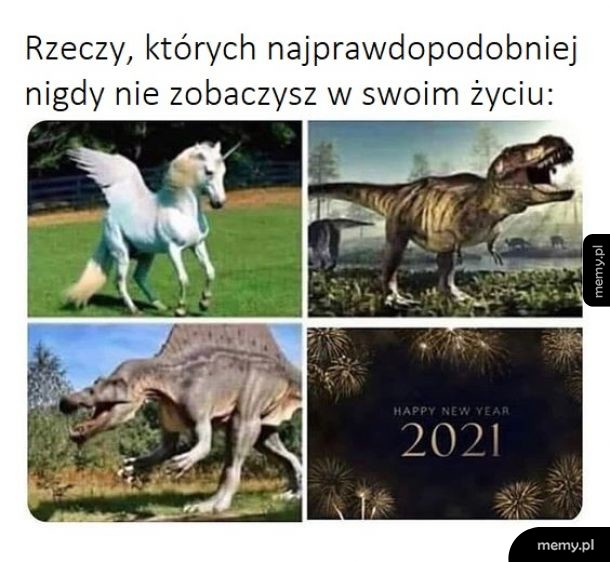 Najprawdopodobniej