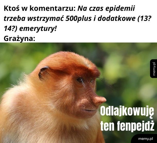 Epidemia