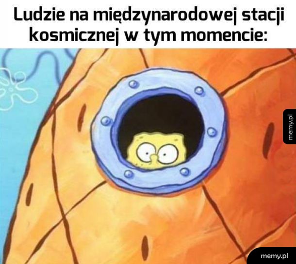 Widok w pierwszym rzędzie