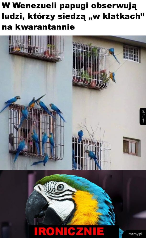 Role się odwróciły