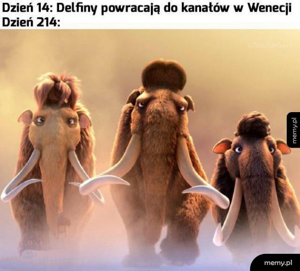 To już się dzieje