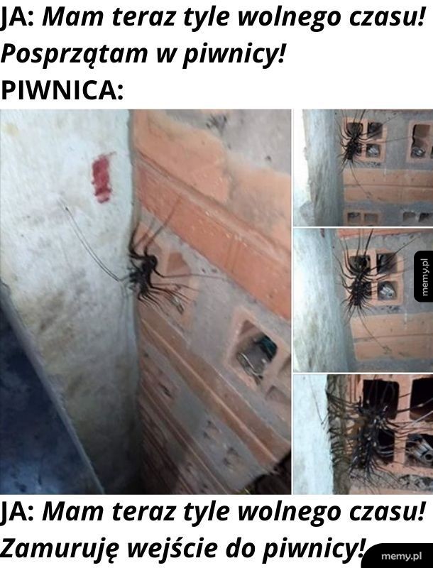 Czy ktoś chce kupić dom? Mam do sprzedania dom. Podpiwniczony, aczkolwiek wejście zamurowane.