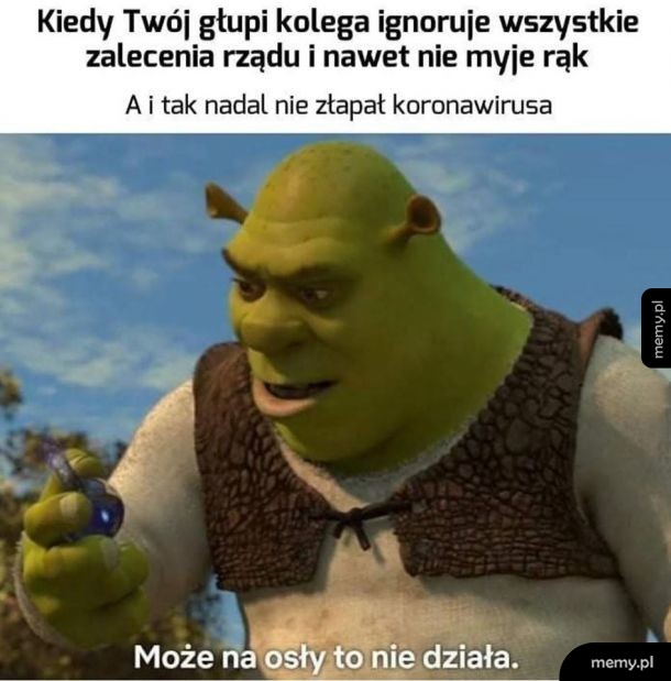 Kolega
