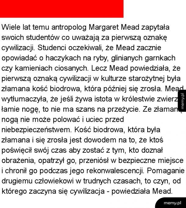 Definicja cywilizacji