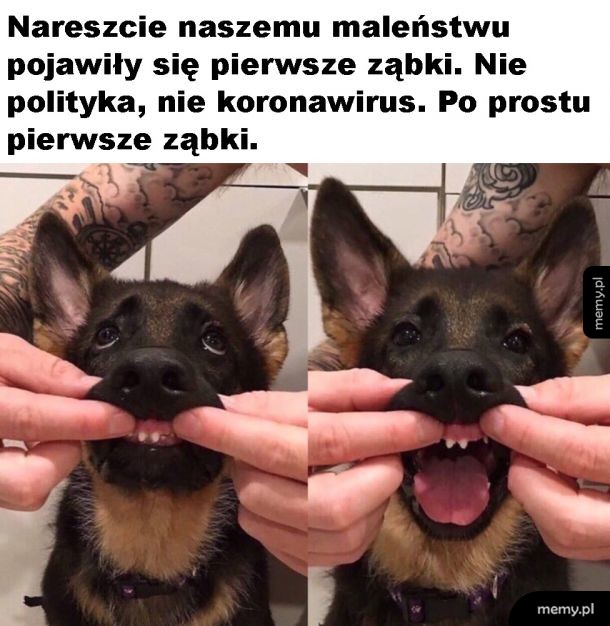 Słodziak